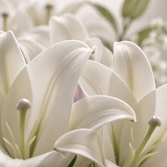 Voicecan devices resting beside pale flowers